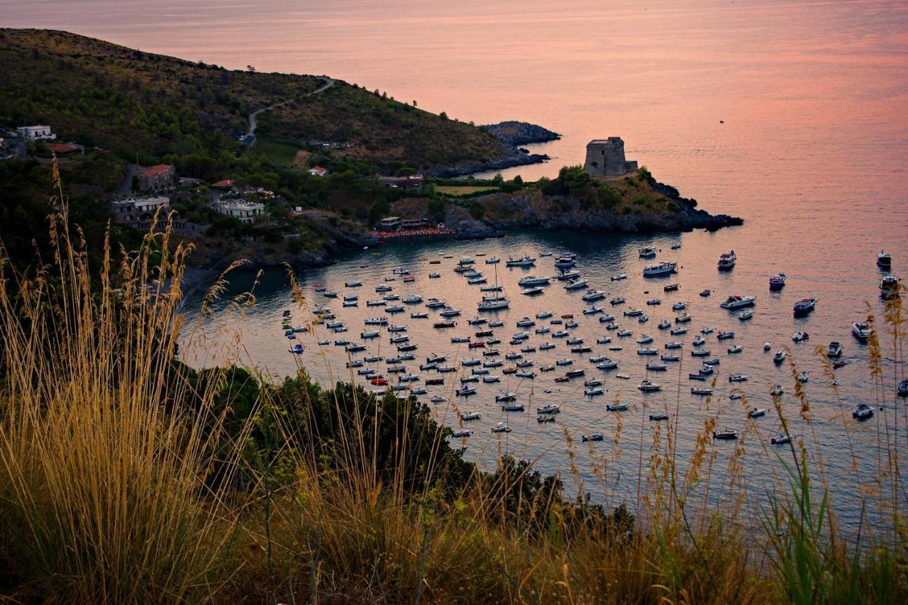 Villa La Ficuzza Cittadella del Capo Dış mekan fotoğraf